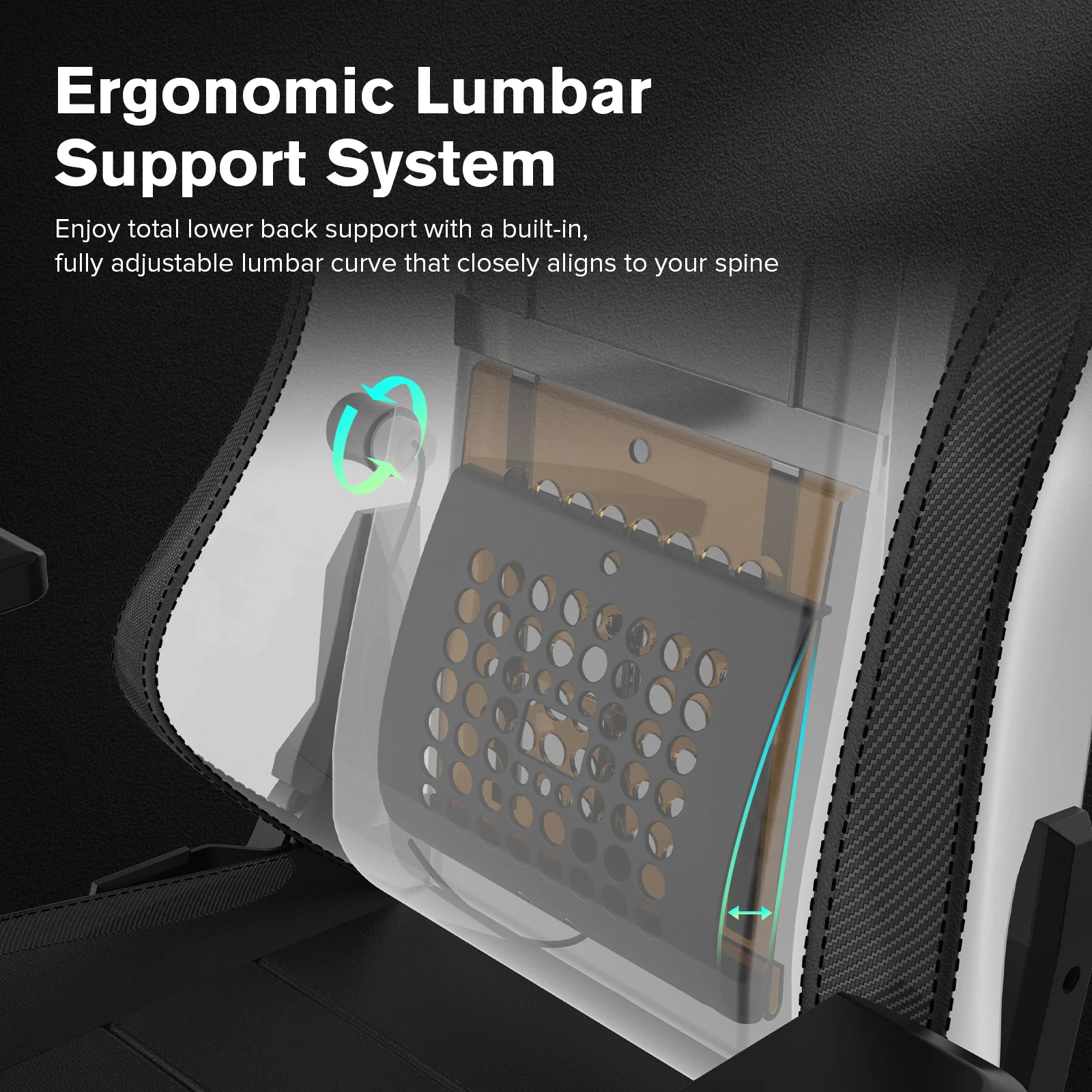 Ace Series ARTHUR - Image 28